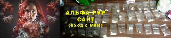 PSILOCYBIN Богородицк